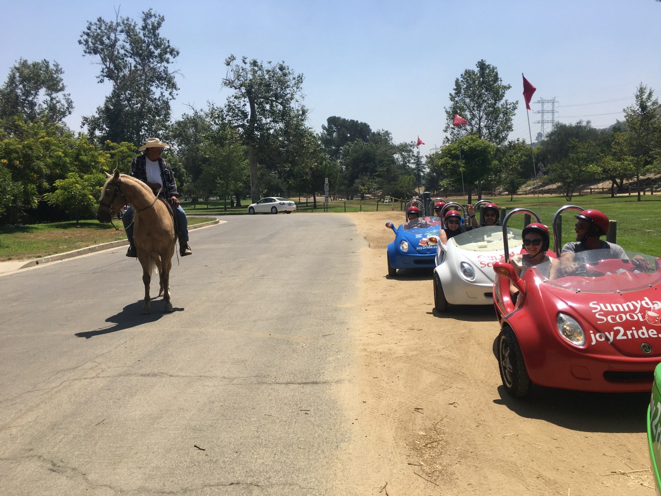 sunny day scoot pairs street driving with animal experience fun